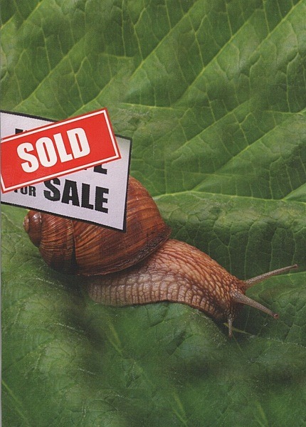 Sold Sold