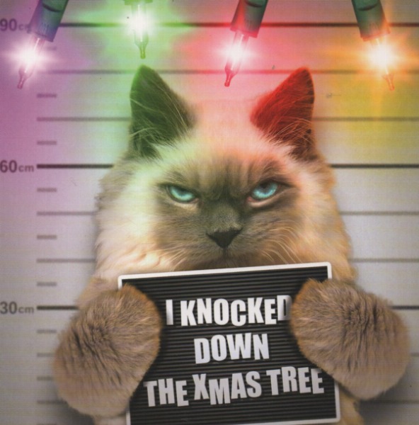 I Knocked Down The Xmas Tree I Knocked Down The Xmas Tree