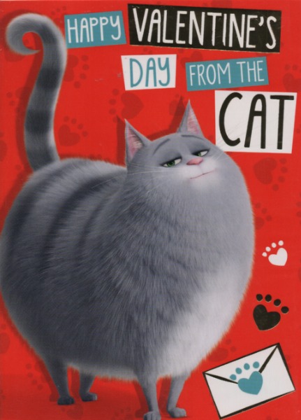 Happy Valentine's Day From The Cat Happy Valentine's Day From The Cat
