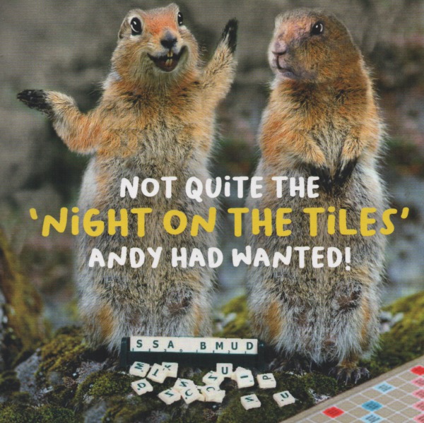 Not Quite The 'Night On The Tiles' Not Quite The 'Night On The Tiles'