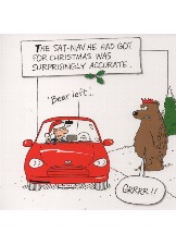 The Sat-Nav He Had Got For Christmas Was Surprisingly Accurate
