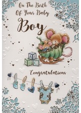 On The Birth Of Your Baby Boy