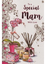 To A Special Mam With Love
