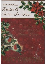 For A Special Brother And Sister-in-Law Happy Christmas