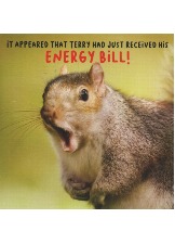 It Appeared That Terry