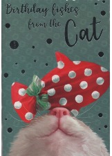 Birthday Wishes From The Cat
