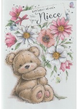 Birthday Wishes For You, Niece