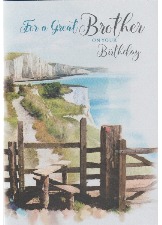 For A Great Brother On Your Birthday