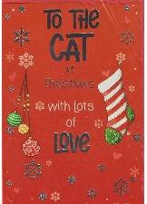 To The Cat At Christmas With Lots Of Love