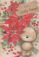For A Special Nanna