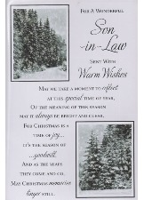 For A Wonderful Son-in-Law Sent With Warm Wishes