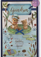 For A Special Grandson (8 Page Insert)