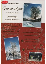 For A Wonderful Son-in-Law Sent With Festive Cheer