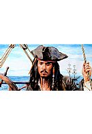 Jack Sparrow Mini Wall Art Blocks