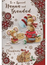 To A Special Nanna And Grandad